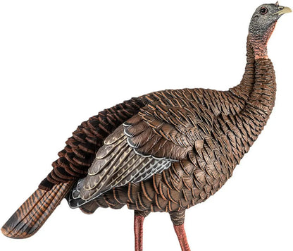 HDR Hen Turkey Decoy | Durable Realistic Lifelike Standing Hunting Decoy with 2 Removable Heads, Carry Bag & Integrated