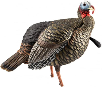 HDR Hen Turkey Decoy | Durable Realistic Lifelike Standing Hunting Decoy with 2 Removable Heads, Carry Bag & Integrated